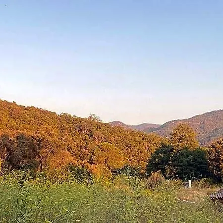 Les De La Favone Ξενοδοχείο Solenzara